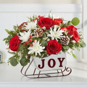 Dashing through the Snow Sleigh